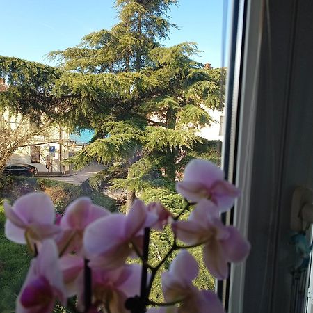 Apartment Luka Fažana エクステリア 写真