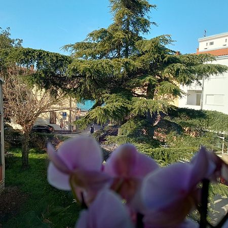 Apartment Luka Fažana エクステリア 写真