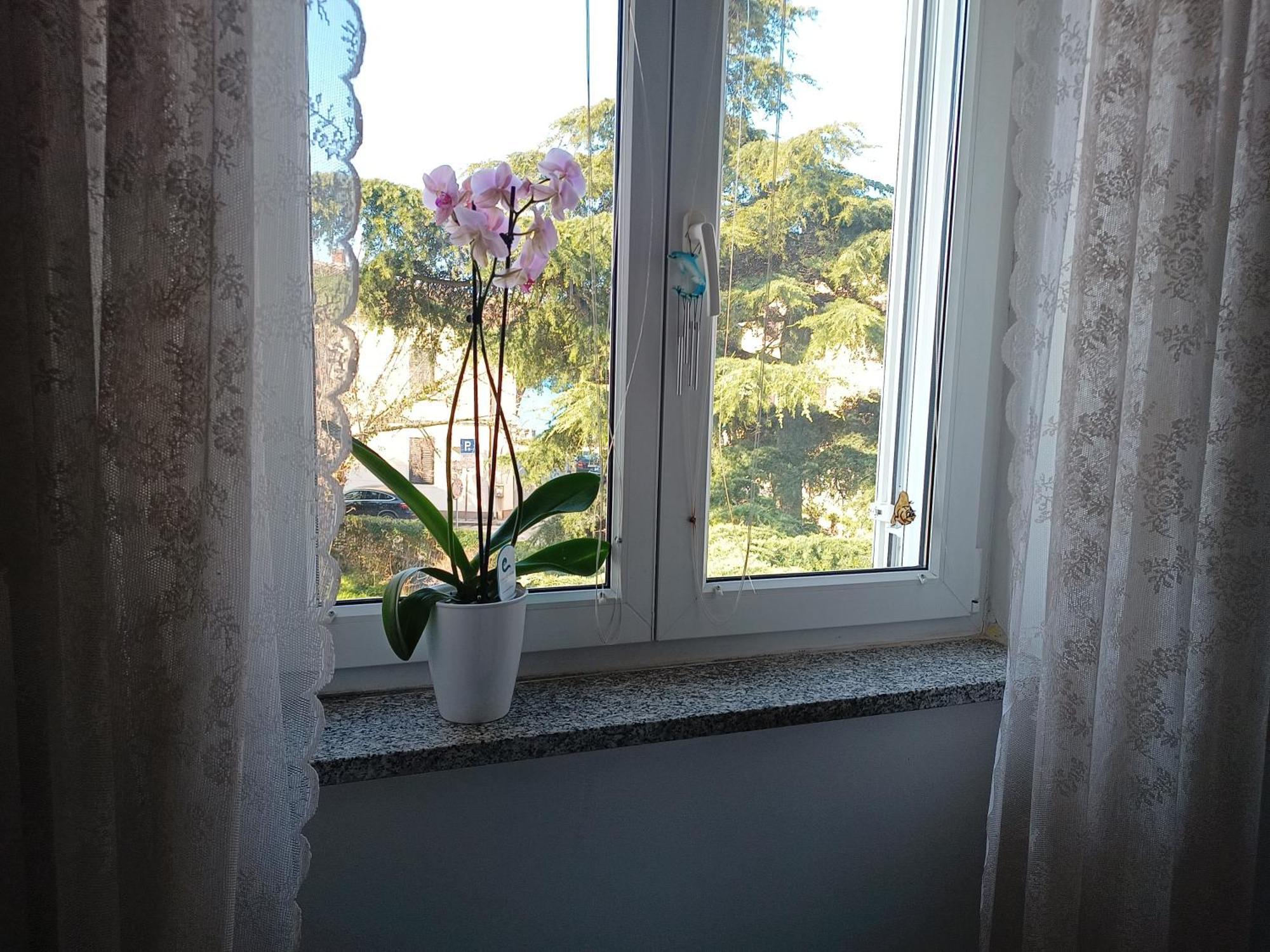 Apartment Luka Fažana エクステリア 写真