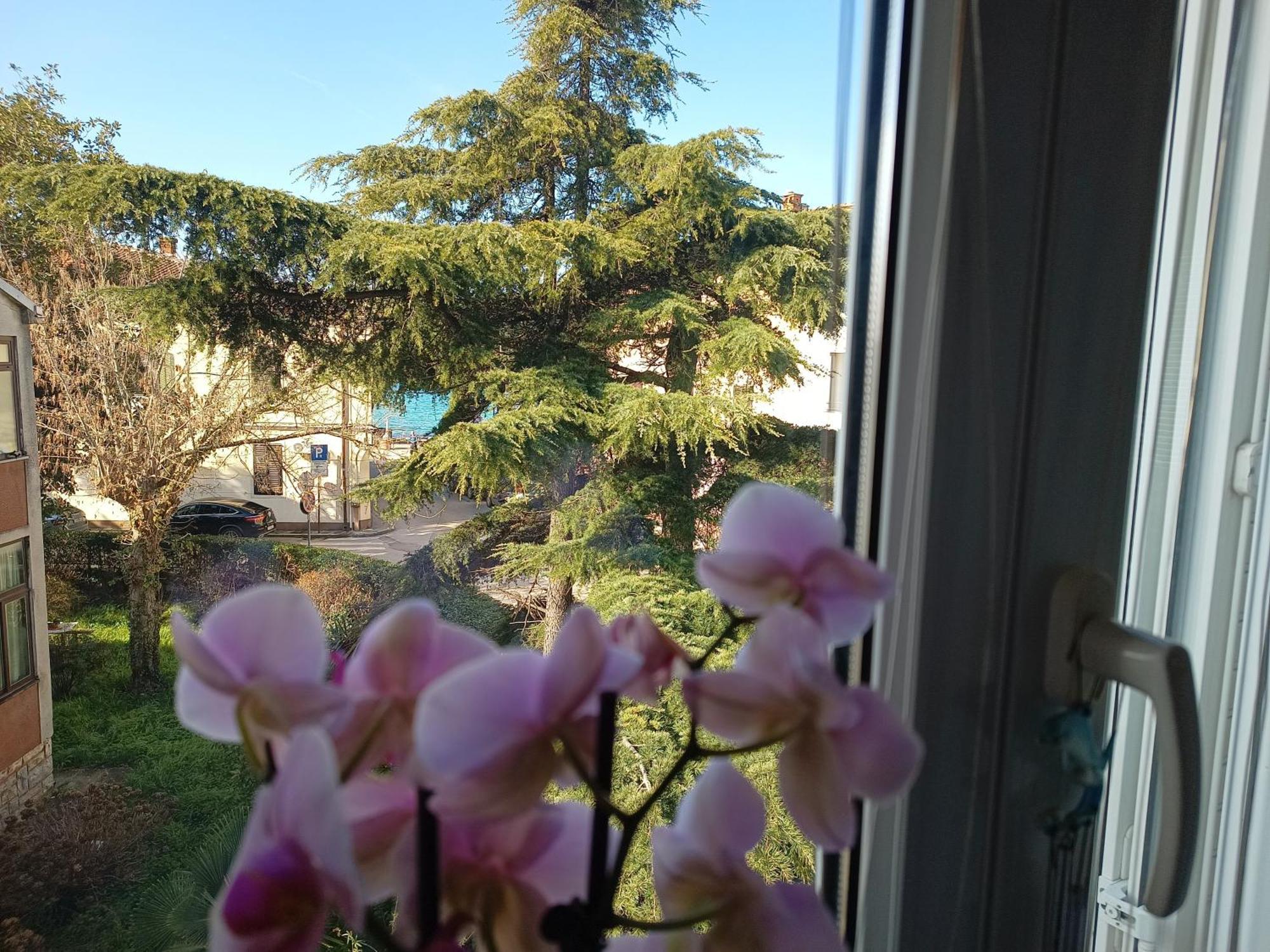 Apartment Luka Fažana エクステリア 写真