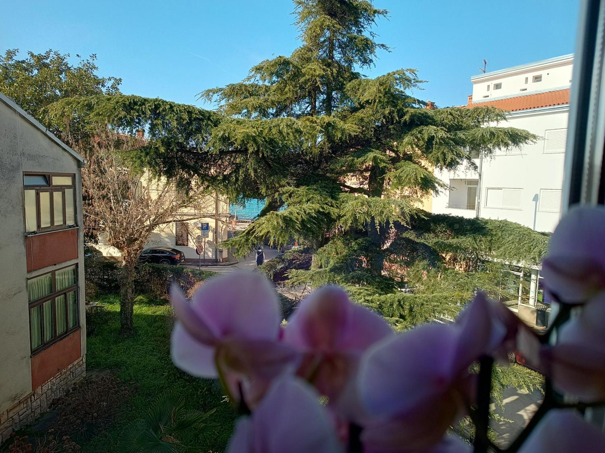 Apartment Luka Fažana エクステリア 写真